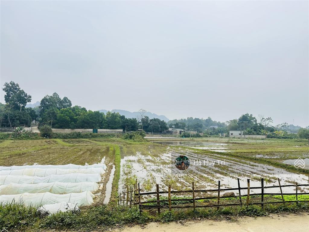 933m2 full thổ cư  mt 19m  view cánh đồng  sẵn nhà vườn nghỉ dưỡng  giá rẻ