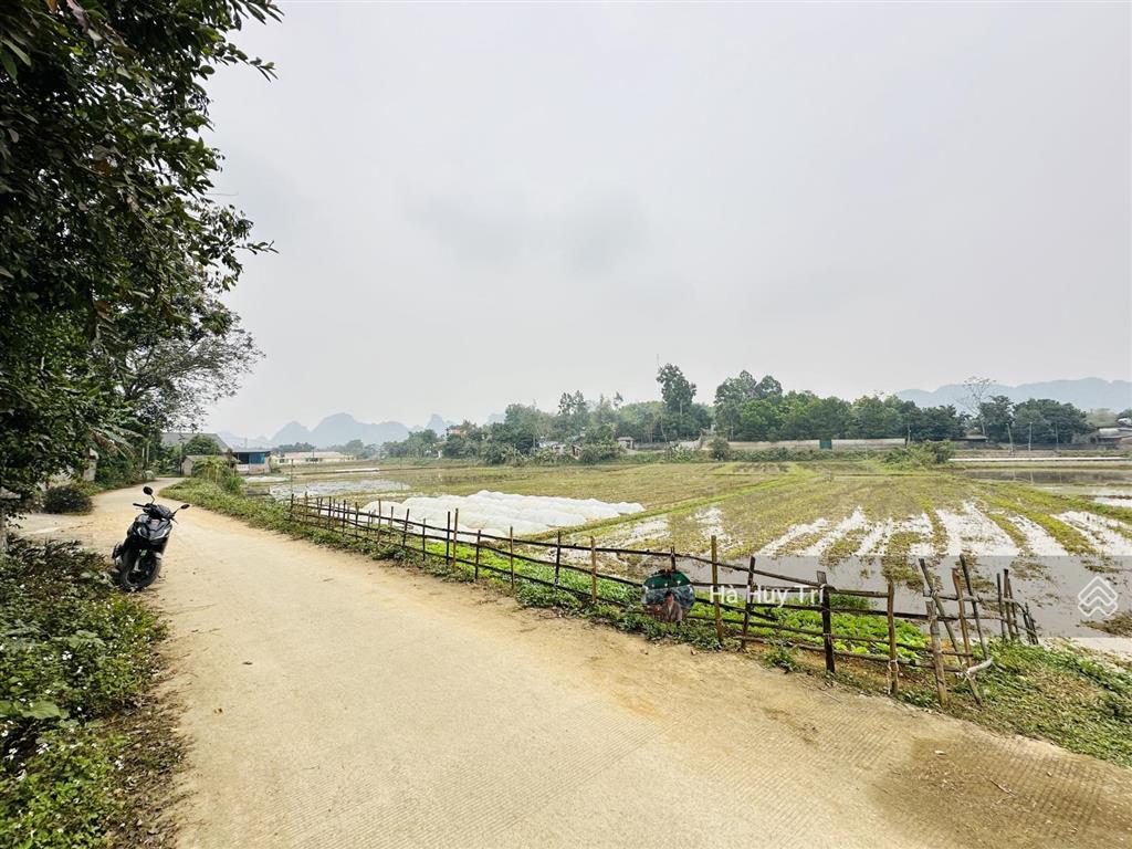 933m2 full thổ cư  mt 19m  view cánh đồng  sẵn nhà vườn nghỉ dưỡng  giá rẻ