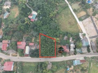 1100m2  800m2 thổ cư  mt30m  bám trục chính liên xã đường tiên hội  view cánh đồng