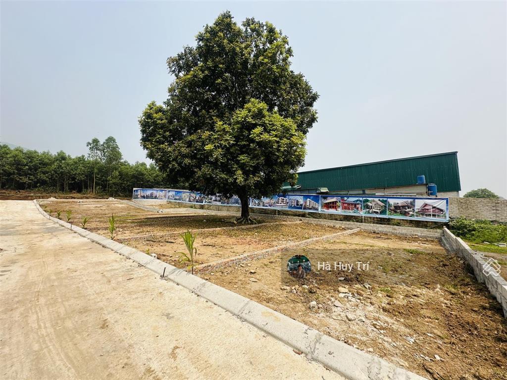 Lô góc  80m2 full thổ cư  mt5m  cách đường liên xã 300m  giá chỉ hơn 300tr