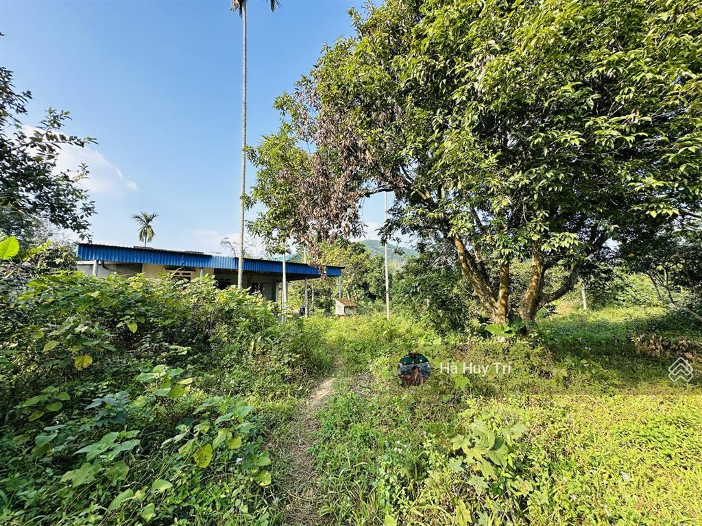 8179m2  1000m2 thổ cư  bám suối  cạnh an lạc trang  cách đường liên kết vùng 500m