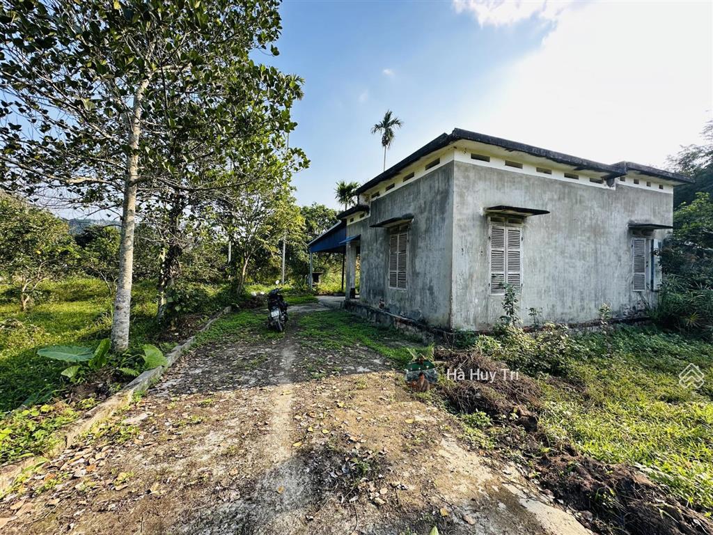 8179m2  1000m2 thổ cư  bám suối  cạnh an lạc trang  cách đường liên kết vùng 500m