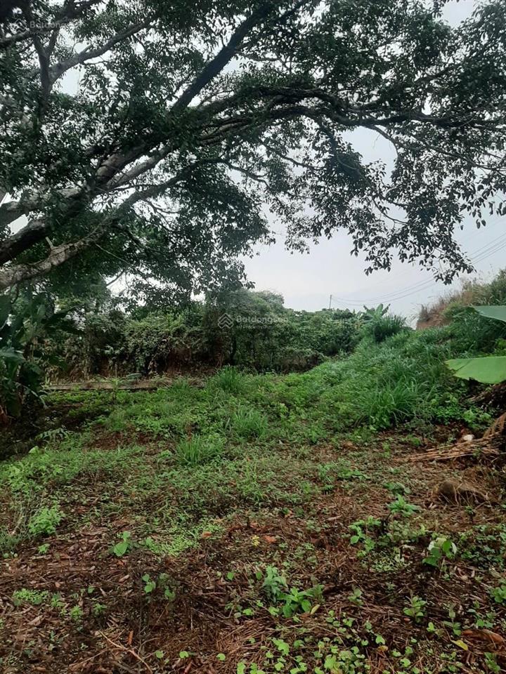 Bán đất view đẹp, sinh lời cao, nhiều tiềm năng tại lộc thành bảo lộc lâm đồng 0984 967 ***