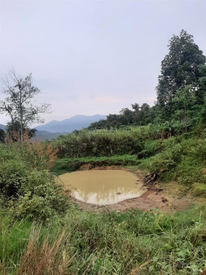 Bán đất view đẹp, sinh lời cao, nhiều tiềm năng tại lộc thành bảo lộc lâm đồng 0984 967 ***