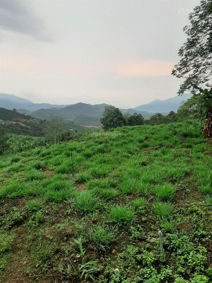 Bán đất view đẹp, sinh lời cao, nhiều tiềm năng tại lộc thành bảo lộc lâm đồng 0984 967 ***