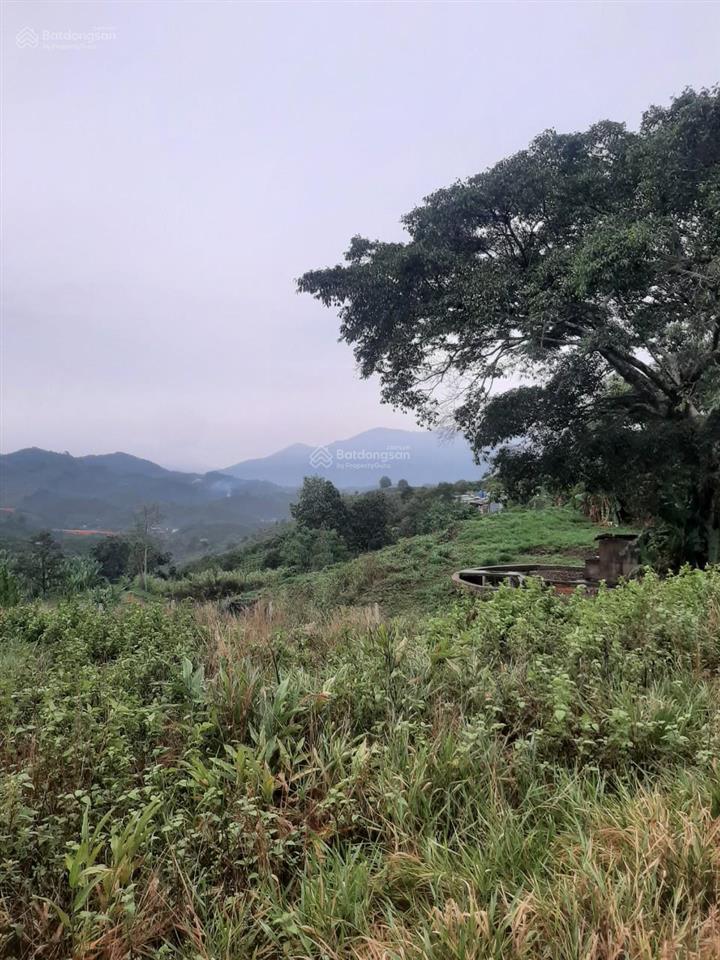 Bán đất view đẹp, sinh lời cao, nhiều tiềm năng tại lộc thành bảo lộc lâm đồng 0984 967 ***