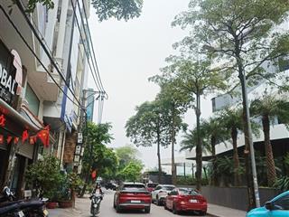 Gia đình muốn bán mảnh đất phố đỗ nhuận xuân đỉnh  bắc từ liêm