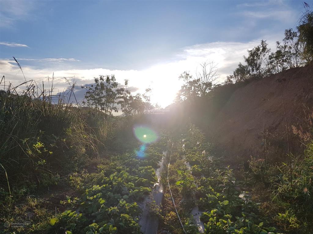 Đất view đẹp xuân trường không khí trong lành, giá cực tốt