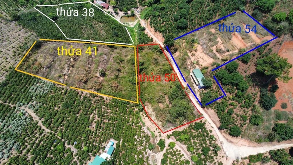 Đất view đẹp xuân trường không khí trong lành, giá cực tốt