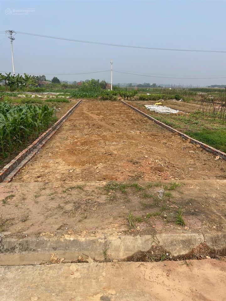Bán gấp lô đất 125m2 mt 5m khu dân sinh hiện hữu sổ đỏ vuông vắn cầm tay nhỉnh 800tr