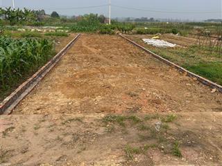 Bán gấp lô đất 125m2 mt 5m khu dân sinh hiện hữu sổ đỏ vuông vắn cầm tay nhỉnh 800tr