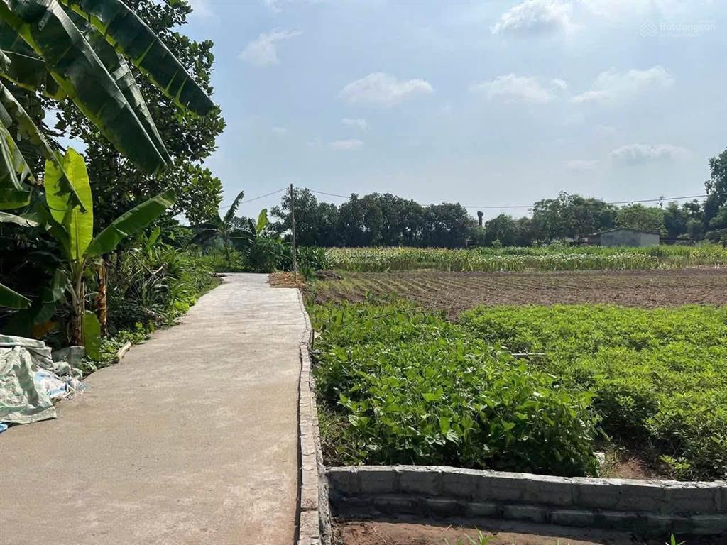 Cần bán lô đất 68m mt 4m cạnh trung tâm phủ lý hà nam sổ đỏ chính chủ