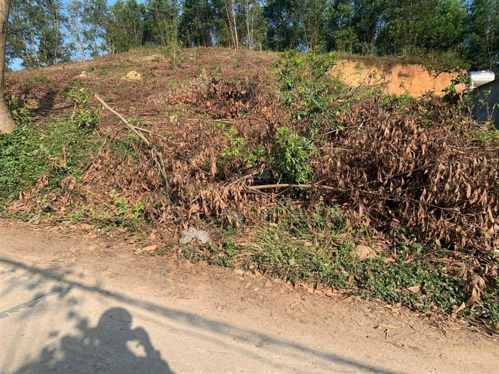 Chính chủ bán đất có thổ cư dt 364.4m2 khánh đông khánh vĩnh giá rẻ 390tr