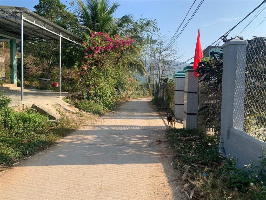 Chính chủ bán đất có thổ cư dt 364.4m2 khánh đông khánh vĩnh giá rẻ 390tr