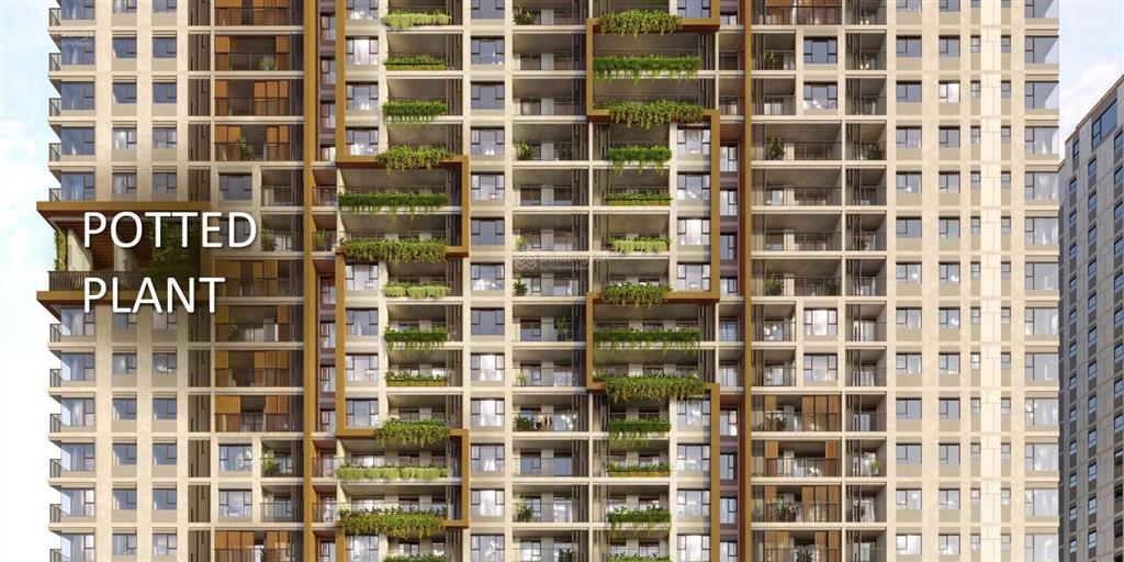 Bán nhanh vài căn elysian suất nội bộ thanh toán 8 tháng chỉ 10%, thanh toán 65% nhận nhà