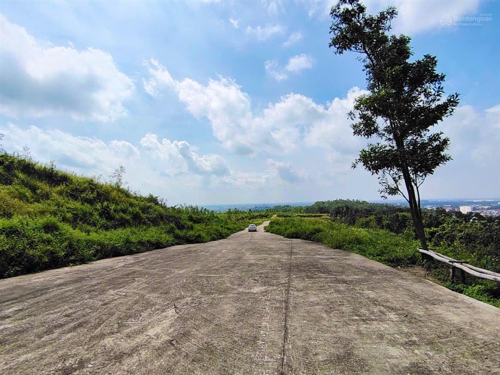 Bán 1,2ha đất rừng view đẹp xuân hòa, phú thọ