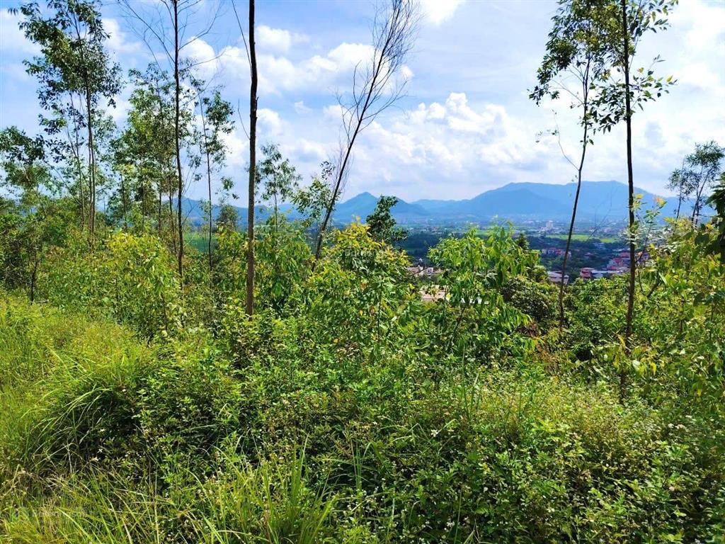 Bán 1,2ha đất rừng view đẹp xuân hòa, phú thọ