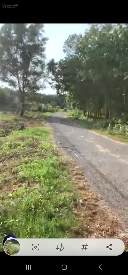 Bán đất có nhà 26.000m2 hai mặt tiền đường, 1 mặt tiền sông có 800m2 thổ cư tại phước vinh tây ninh