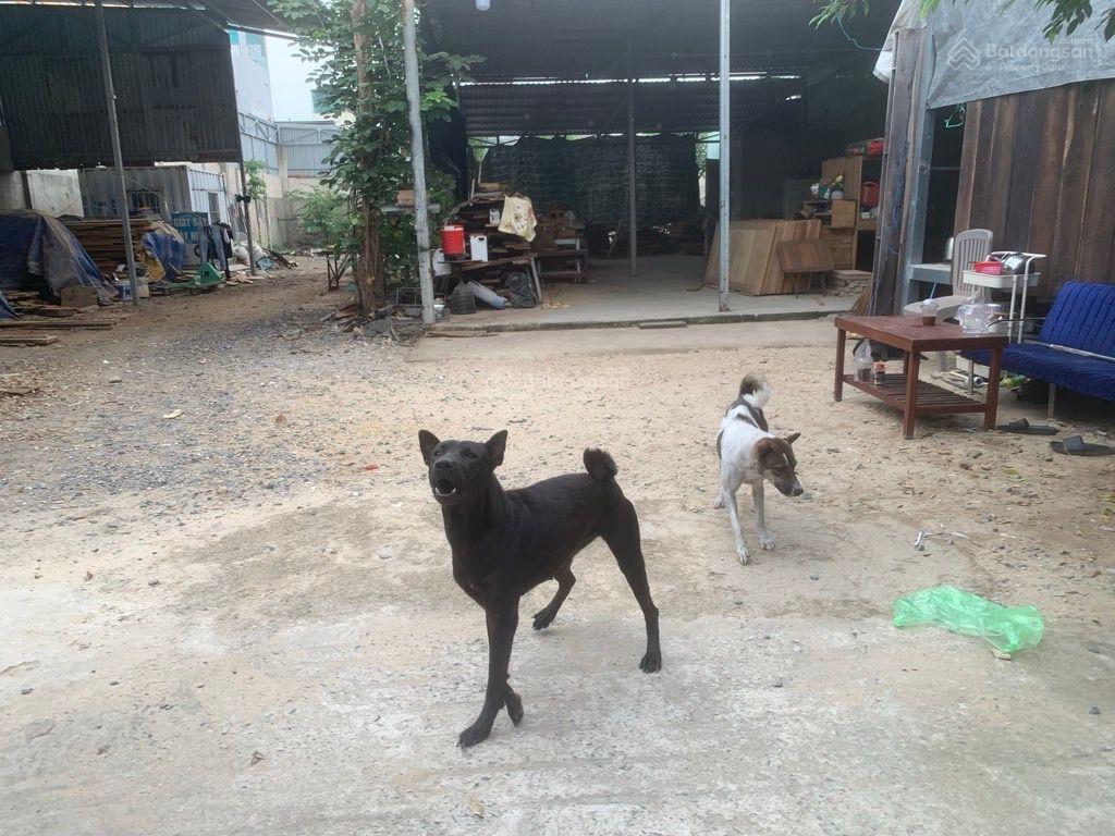 Đất trống dt 1139m2, nở hậu chữ l, giá 5x tỷ, phạm đăng giảng, bhh, bình tân