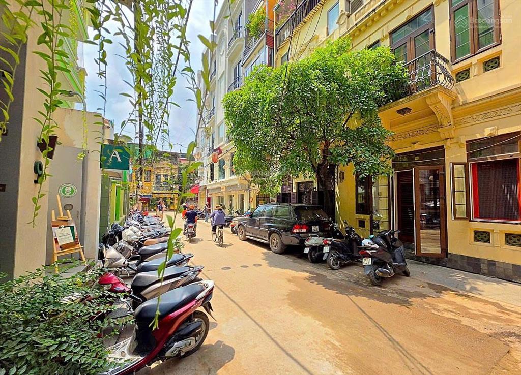 Bán biệt thự song lập quán thánh ba đình 105m2, lô góc 2 mặt thoáng, ô tô tránh, 6 tầng  75 tỷ.
