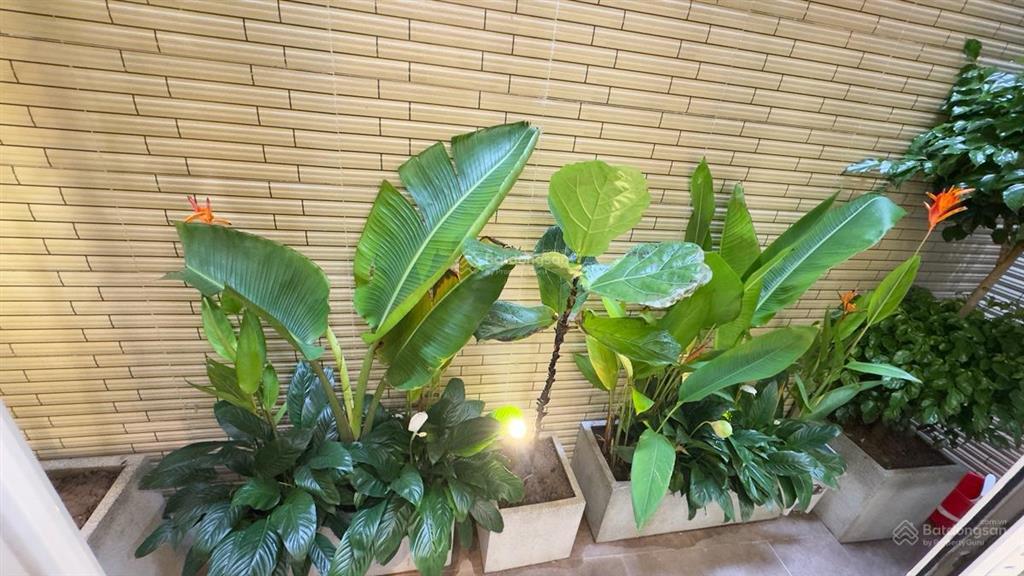 Hiếm! nhà phân lô lò đúc 74m2, ô tô đỗ cửa, 2 mặt thoáng vĩnh viễn, 17,9 tỷ. nội thất cao cấp
