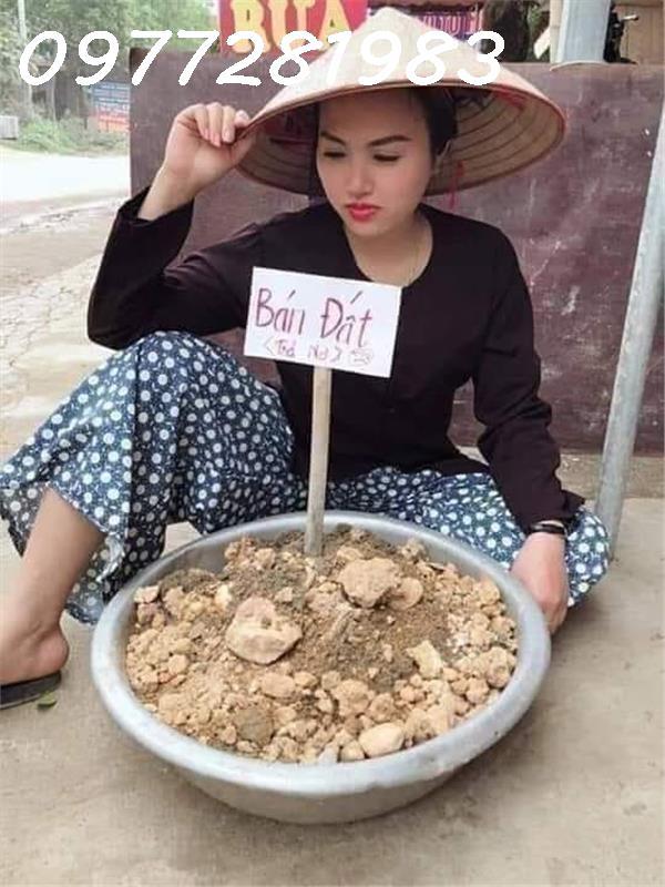 🤔 Với hơn 4 tỷ, anh/chị chọn: