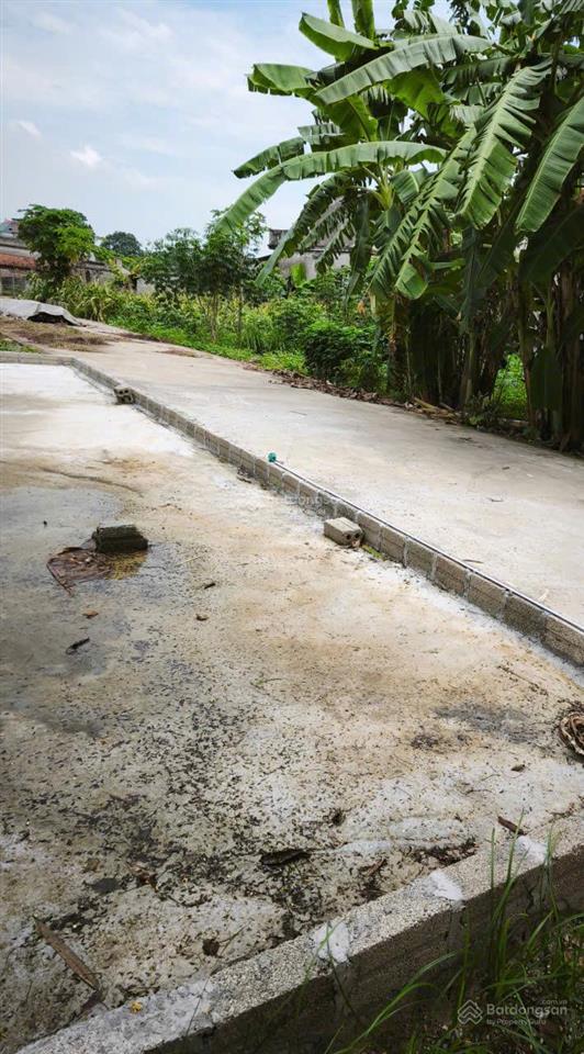 Bán đất xã chương dương, thành phố hà nội (xã tự nhiên, huyện thường tín cũ)