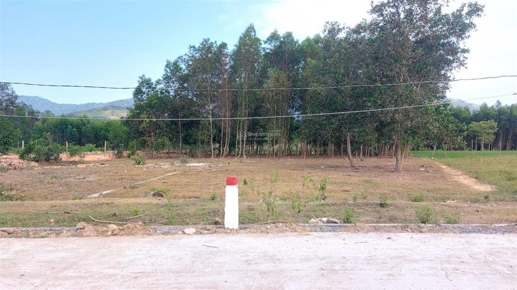Đất khánh đông bán lỗ, siêu rẻ, giá 310 triệu diện tích 338,7m2, trong đó thổ 140m2, đường ô tô