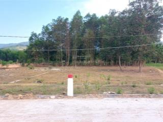 Đất khánh đông bán lỗ, siêu rẻ, giá 310 triệu diện tích 338,7m2, trong đó thổ 140m2, đường ô tô