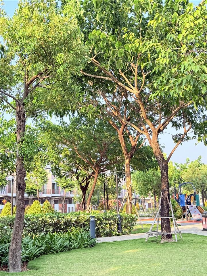 Liên kế 2 tầng view công viên siêu rẻ