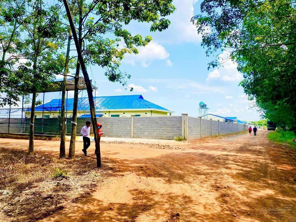Đất chính chủ ngay đường lớn 14m, gần ql13 chỉ 3km, dt 1000m2, giá chỉ 380 triệu, shr