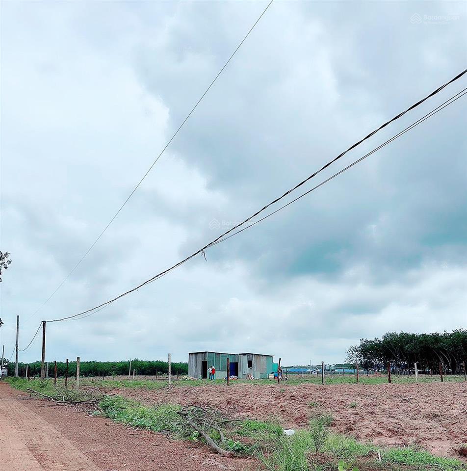 Đất chính chủ ngay đường lớn 14m, gần ql13 chỉ 3km, dt 1000m2, giá chỉ 380 triệu, shr