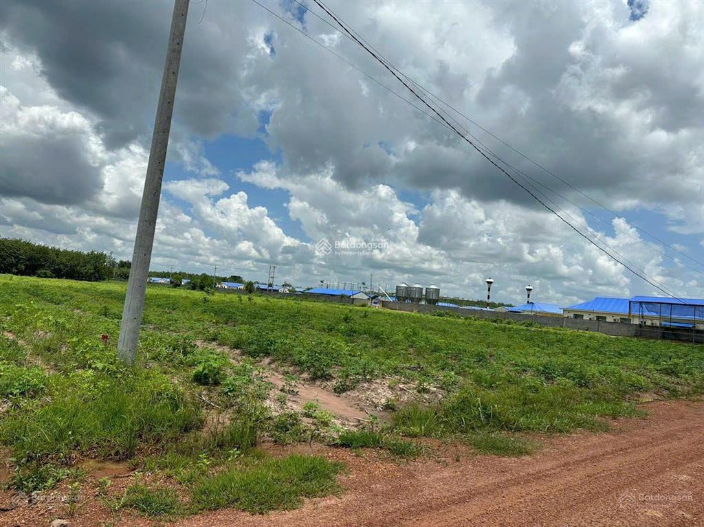 Đất chính chủ ngay đường lớn 14m, gần ql13 chỉ 3km, dt 1000m2, giá chỉ 380 triệu, shr