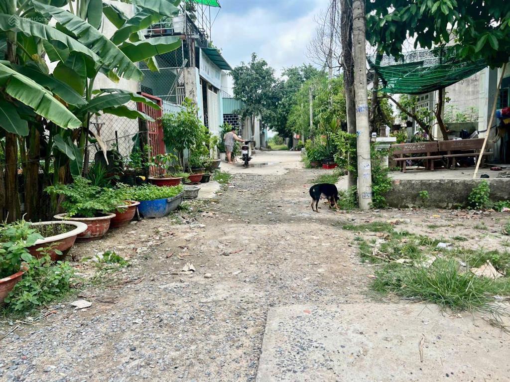 Chính chủ cần bán gấp nhà vườn phạm văn hai, bình chánh, diện tích 500m2, giá 980tr