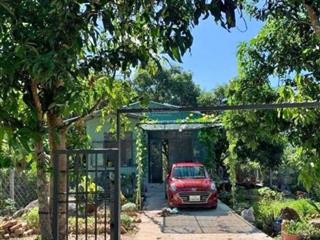 Chính chủ cần bán gấp nhà vườn phạm văn hai, bình chánh, diện tích 500m2, giá 980tr