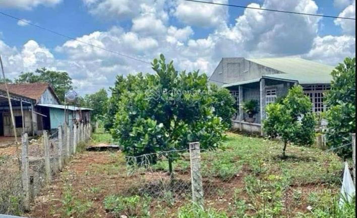 Chính chủ cần tiền làm ăn bán lô đất vườn xã pham văn hai, binh chánh, 500m2, giá 980tr 0867 241 ***