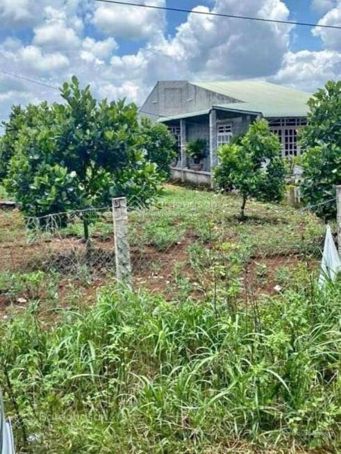 Chính chủ cần tiền làm ăn bán lô đất vườn xã pham văn hai, binh chánh, 500m2, giá 980tr 0867 241 ***