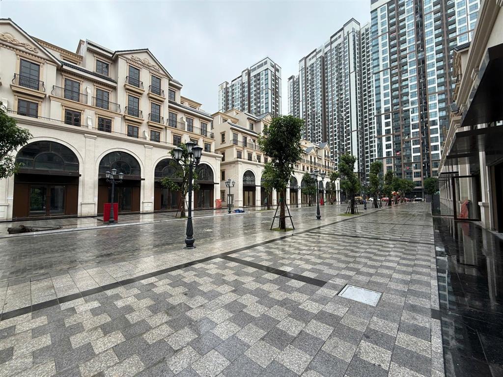 Shop vinhomes ocean park 1 giá 19 tỷ nhận luôn cho thuê 50tr/tháng khu dân cư đông đúc 0987 086 ***