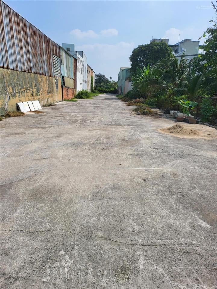 Chính chủ bán 1000m2 đất mt số 175a vườn lài giá chỉ 80tr/m2