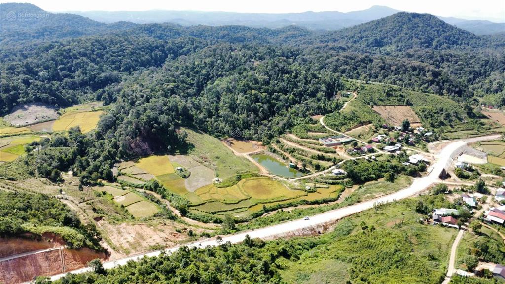 Bán đất măng cành cách măng đen 5km hơn 2.500m², có sẵn 150m² thổ cư  gọi ngay xem đất!