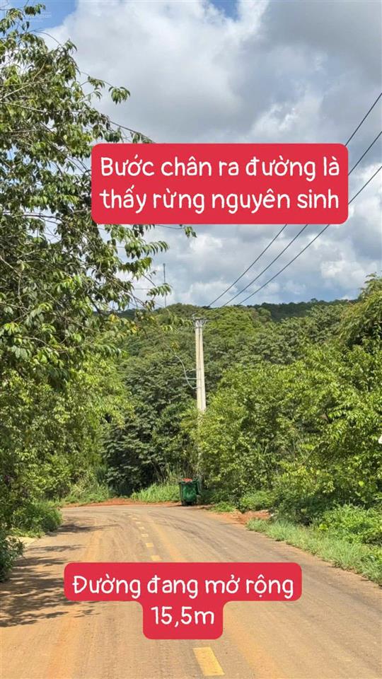 Bán đất trung tâm măng đen phan bội châu, 7x30m có sẵn nhà giá 5,x tỷ