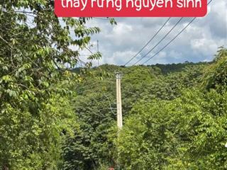 Bán đất trung tâm măng đen phan bội châu, 7x30m có sẵn nhà giá 5,x tỷ
