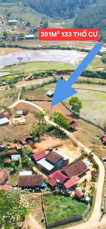 Dưới 3 tỷ mua được gì ở măng đen?