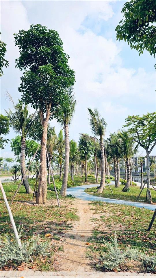 13 tỷ có ngay shophouse xây 5 tầng trục đường lớn