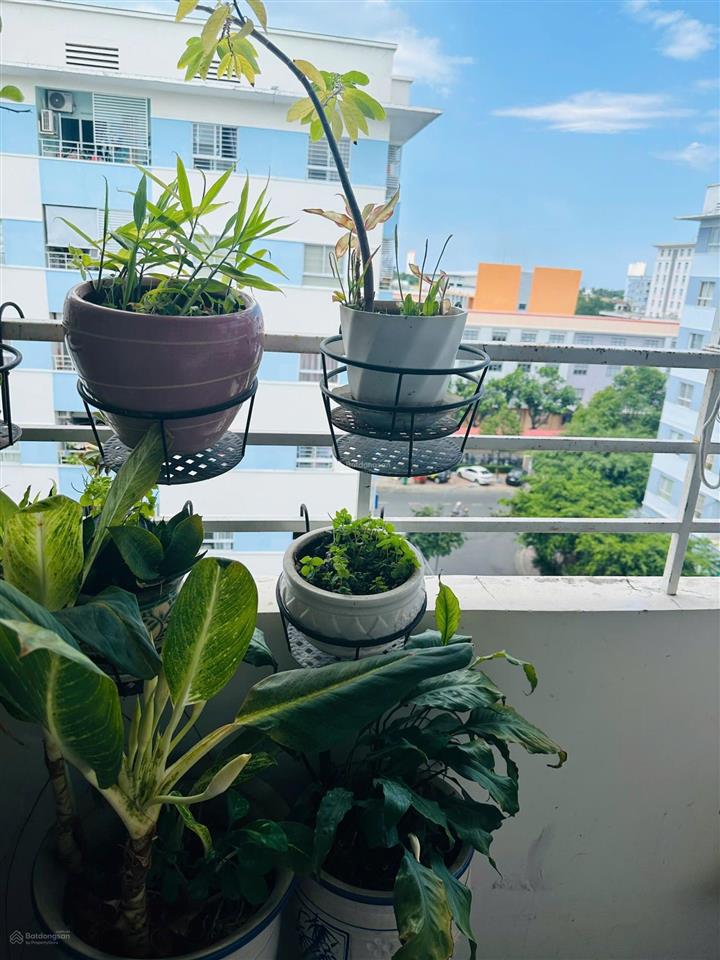 Cần tiền bán căn hộ ct6 giá rẻ