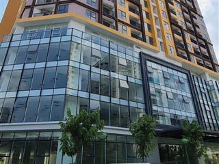 Chính chủ cần bán căn hộ sân vườn 2pn dự án t&t định công