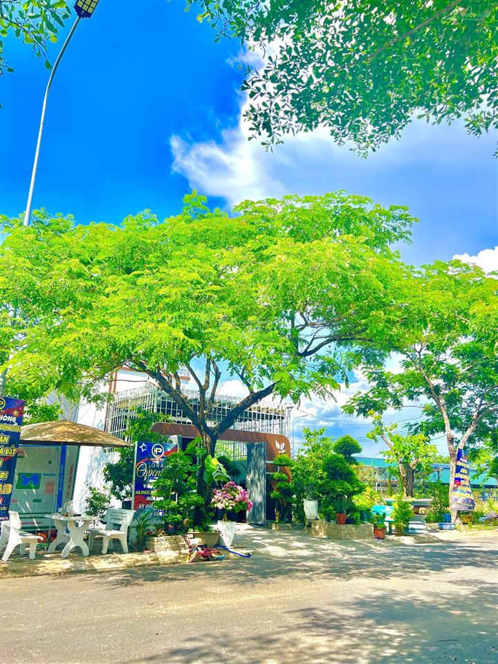 Chính chủ gửi bán lô đất 175m2 giá đầu tư, giá hời dự án