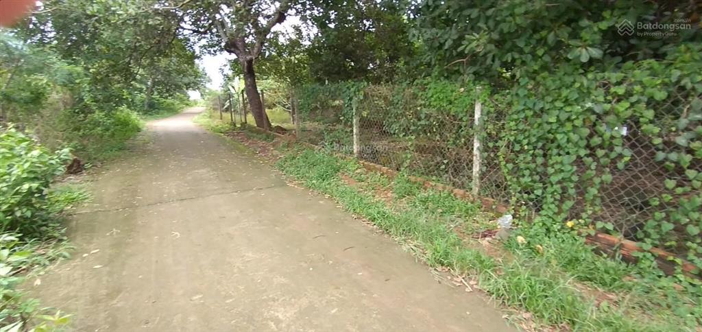 Vườn sầu riêng chôm chôm 2.000m2 ngay kcn dầu giây  mua là có dòng tiền ngay