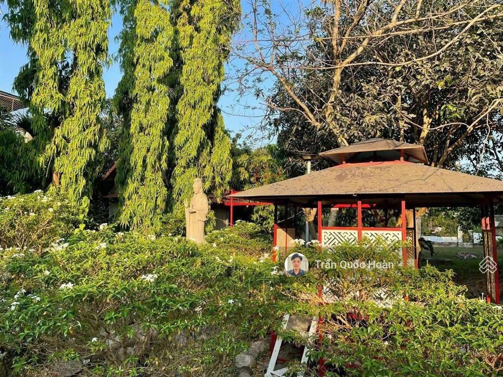 Bán biệt thự nghỉ dưỡng phước hải bà rịa, 917m2 ngang 19m, giá 6,5 tỉ