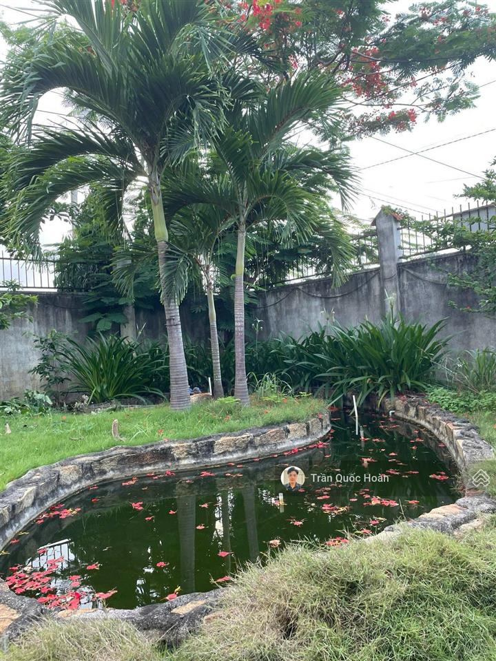 Bán biệt thự nghỉ dưỡng phước hải bà rịa, 917m2 ngang 19m, giá 6,5 tỉ